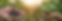 Gemini_Generated_Image_b2ss5mb2ss5mb2ss.png