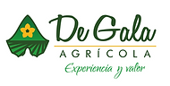de gala logo.png