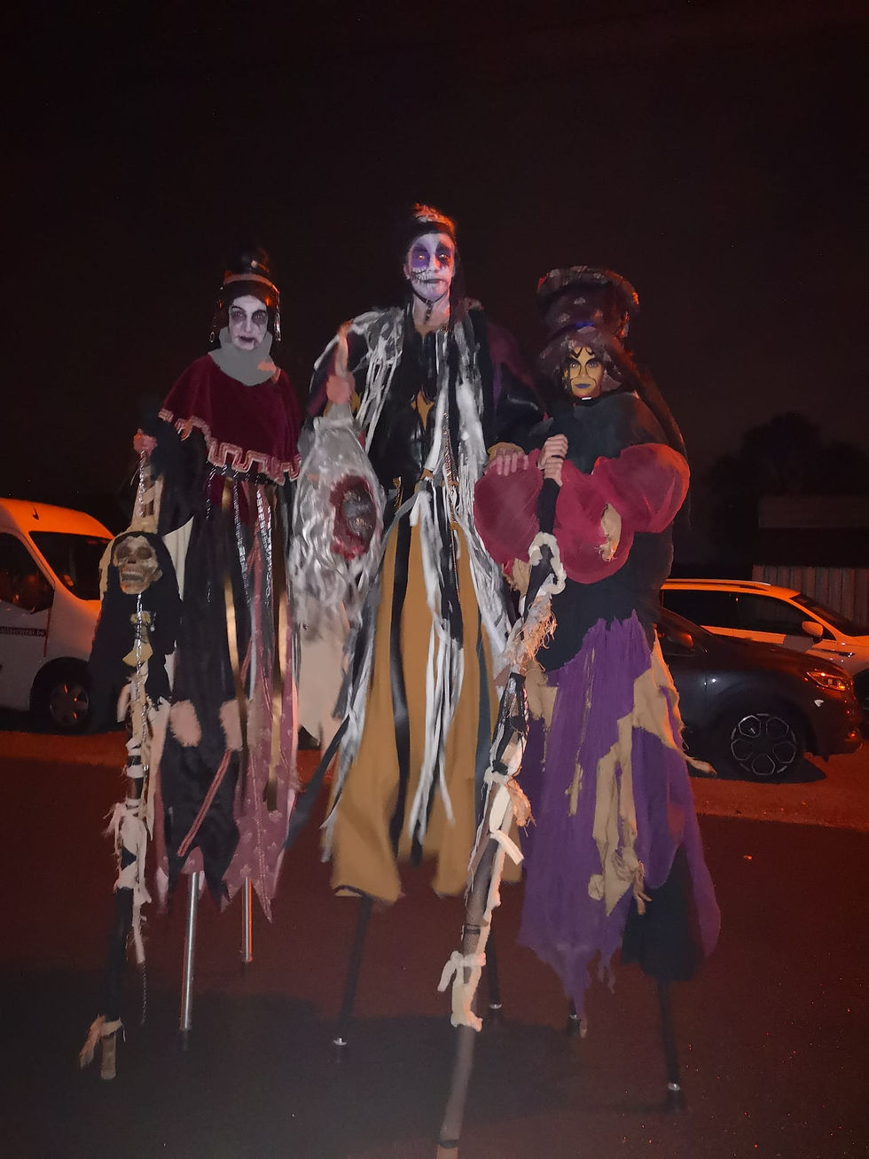 Photo des trois échassiers Igor Jeff et Polo de nuit 