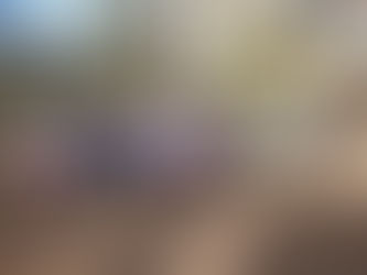 Lower Elementary January 25-29: 100 Days of School!