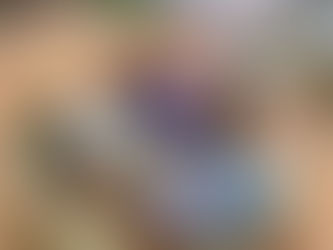 Lower Elementary August 24-28: Team Building and More!