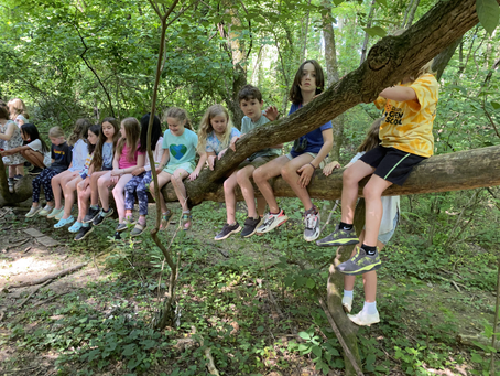 Lower Elementary May 24-25: I Wish You More