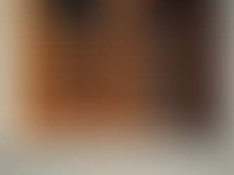Understanding Shutter Installation Pricing