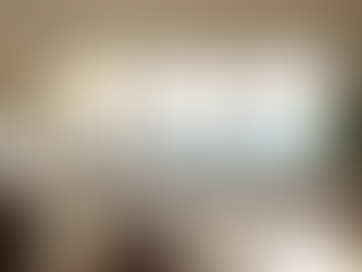 Curtains and Blinds Options in Wellington