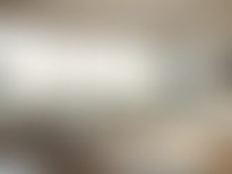 Shoestring Blinds: Blinds Lower Hutt for Every Window