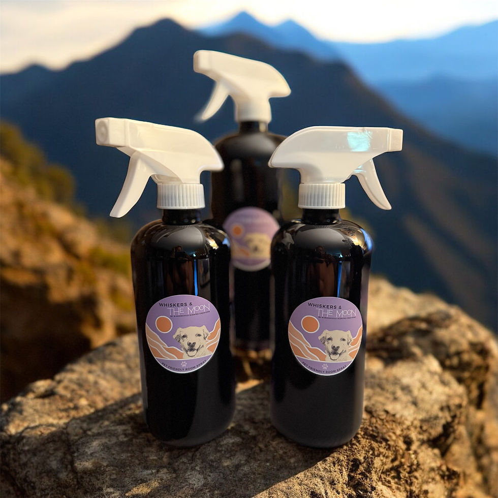 Three bottles of pet-safe fabric deodorizing spray
