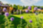 Alan-Edward-Gardening-6.jpg