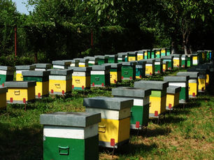 How To Heft A Beehive?