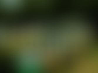 How To Heft A Beehive?