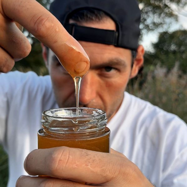 How I Extract Honey From Honeycomb