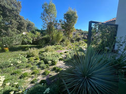 Gazon Paysagiste Montpellier