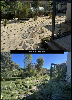 Gazon Paysagiste Montpellier