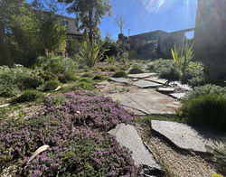 Gazon Paysagiste Montpellier