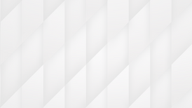 white bagg.png