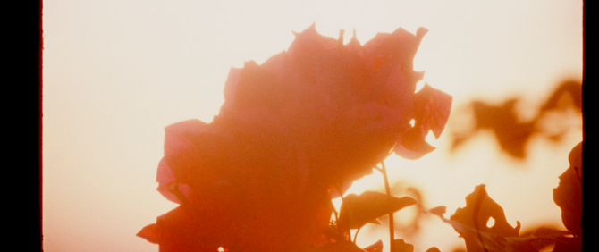 Screen Shot 2021-10-16 at 12.37.35 PM.png