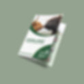 Angus-Brochure-02.jpg