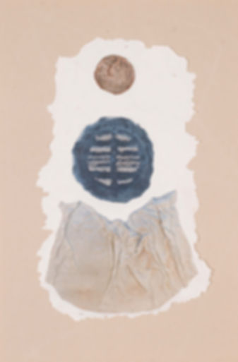 GMOC1342