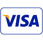 visa_PNG10.png