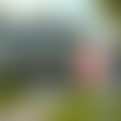 Master Real Estate Investing: Essential Tips