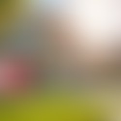 Understanding Section 8 Housing in Real Estate