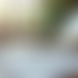 Efficient Strategies for Property Management Success