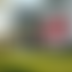 Essential Steps to Start Real Estate Investing