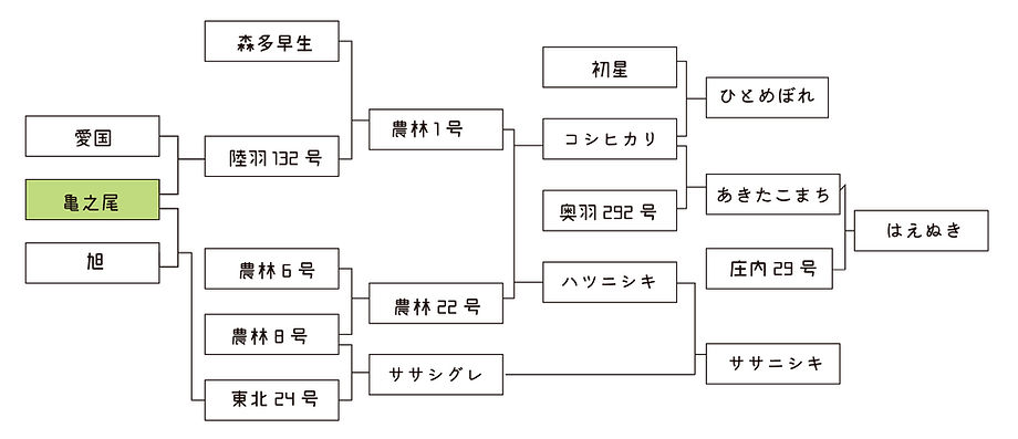 米-03.jpg