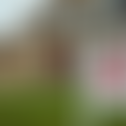 Effective Strategies for Real Estate Investing