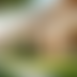 Mastering Property Management for Real Estate Success