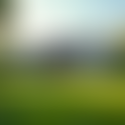 Smart Strategies for Real Estate Investing