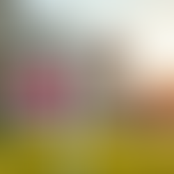 A Complete Guide to Real Estate Investing