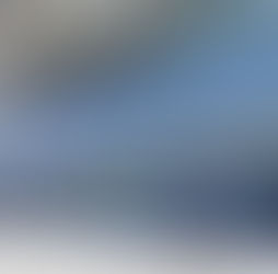 一個提供言語服務及支援的非牟利組織