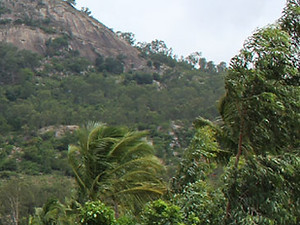 Pavilion-Banner6.jpg