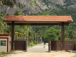 Pavilion-Banner6.jpg
