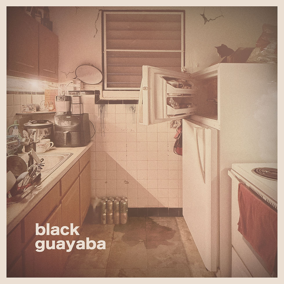 Black Guayaba (2025) ALBUM COVER