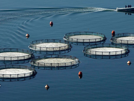 Oι ιχθυοκαλλιέργειες σε εθνικό και παγκόσμιο επίπεδο και τα προβλήματά τους