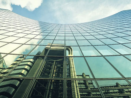 Αυξάνονται οι θάνατοι πουλιών από προσκρούσεις σε γυάλινα κτίρια