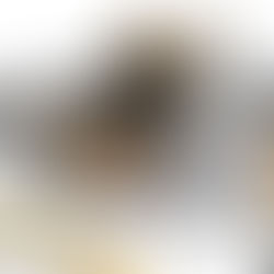 Σημαντικές εγκρίσεις από το Συμβούλιο Αρχιτεκτονικής