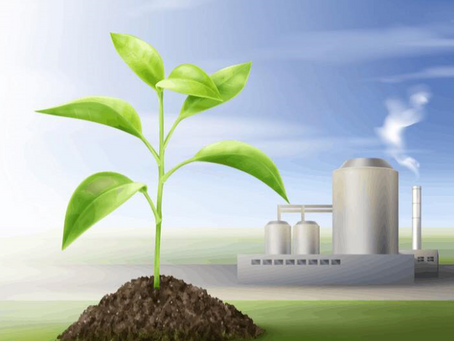 Η ενεργειακή αξιοποίηση της βιομάζας!