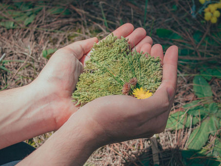 Διαπιστώσεις και συμπεράσματα της έκθεσης του Ευρωπαϊκού Οργανισμού Ενέργειας για την κατάσταση του περιβάλλοντος στις χώρες της Ευρώπης (2025)