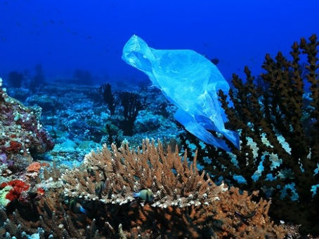 Το κόστος της πλαστικής ρύπανσης στον κόσμο