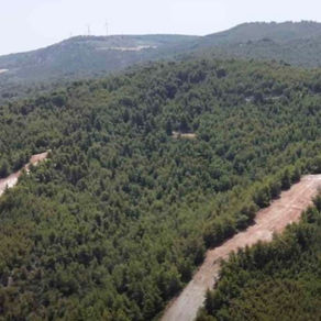 Πρόγραμμα προληπτικών καθαρισμών δασών Antinero