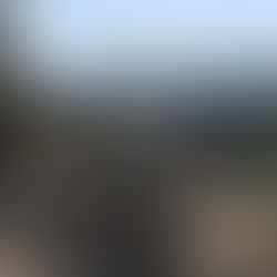 Αναγκαία προτεραιότητα η αποκατάσταση της βιωσιμότητας των καμένων εκτάσεων