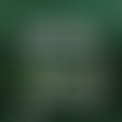 Περιβαλλοντική πολιτική της ΕΕ με ορίζοντα το 2030: μια συστημική αλλαγή