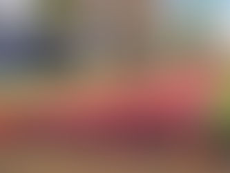 Πλαστικοί Δρόμοι