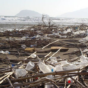 Αποχαιρετούμε τα πλαστικά μιας χρήσης με δύο οδηγούς της WWF Ελλάς!