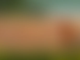 Natura 2000: Προστατευμένες περιοχές (;)