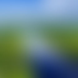 Παράνομη η αποψίλωση του τροπικού δάσους του Αμαζονίου