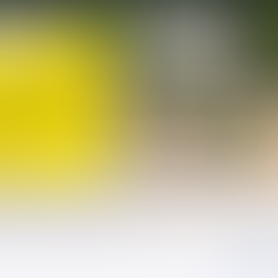 Έρευνα ΣΕΒ: Πάνω από τις μισές επιχειρήσεις δεν είναι επαρκώς ενημερωμένες για την Κυκλική Οικονομία