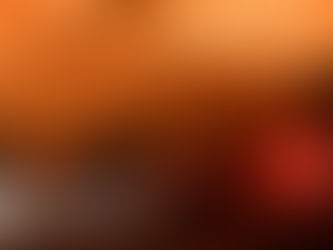 To WWF Ελλάς ζητά διαφάνεια για τις πυρκαγιές